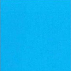 Meet your Posher, Zion